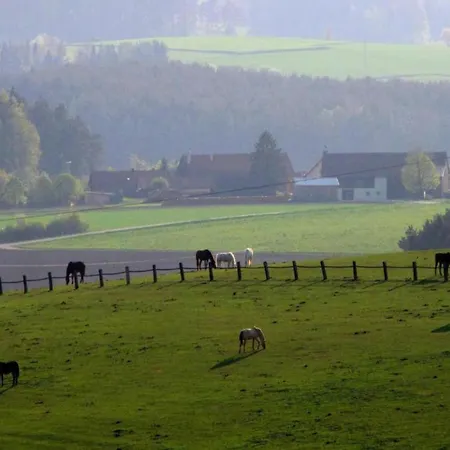 Dom wakacyjny Seeblick - Tiny Neunburg vorm Wald