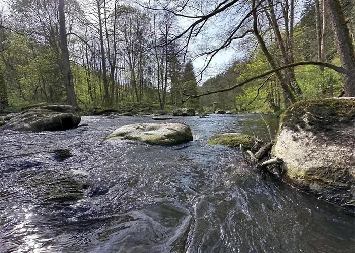 Dom wakacyjny Eixendorf Lakeside Nest