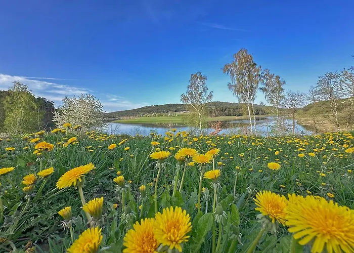 Eixendorf Lakeside Nest Дом отдыха